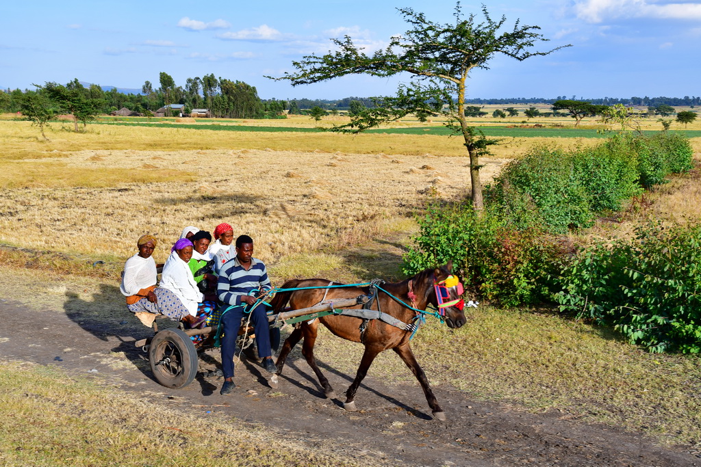 Addis to Weliso